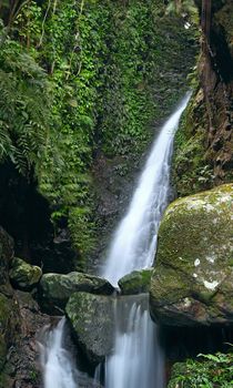 Deep forest waterfall 