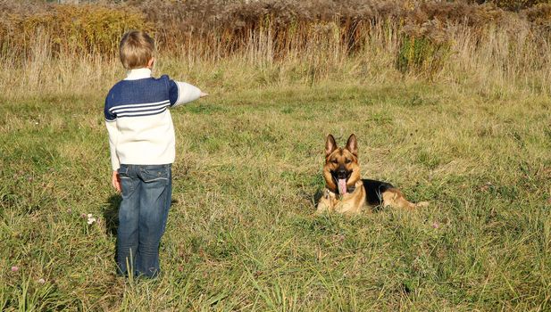 The little boy is training the big dog German Shepherd Dog ). The obedience and the cooperation.