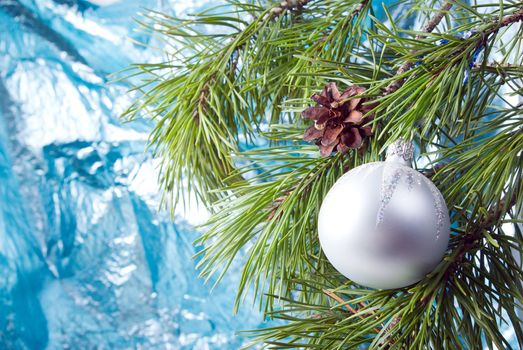 Christmas bauble  on background of the fur branches,