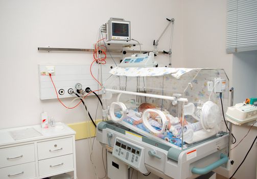 newborn baby sleeping in an incubator in hospital.branch to reanimations