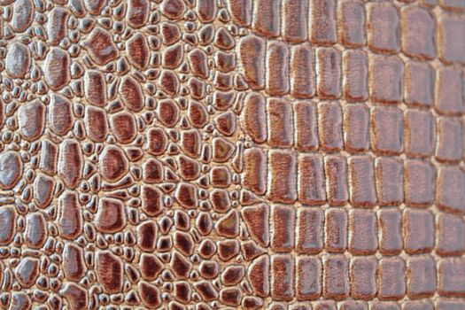 Close up of the brown crocodile texture