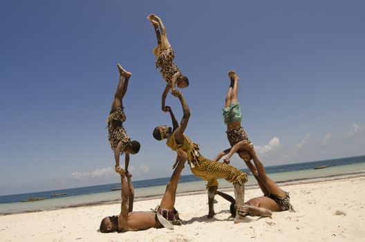 african acrobat