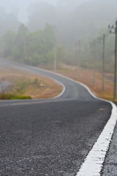 Stretch of road in the valley. Khao Yai, a Thai forest, a World Heritage Site.