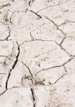 A stretch of cracked, parched, dry land filling the frame.