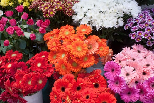 Some bunches of different varieties of colourful flowers on display in a florist shop.