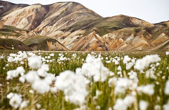 Landmannalaugar is a region near the volcano Hekla in the southern section of Iceland's highlands. The area is a popular tourist destination and hiking hub.  The area displays a number of unusual geological elements, like the multicolored rhyolite mountains and expansive lava fields.