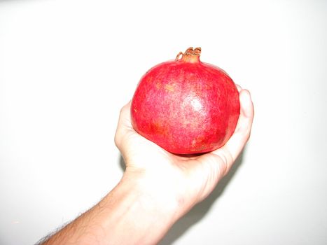 pomegranate