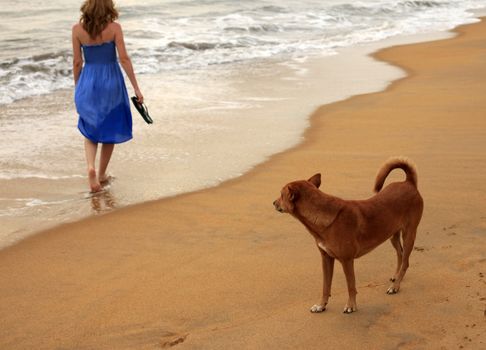 The stray dog, seeing off a sight the girl