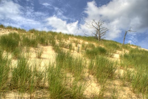 Slowinski National Park