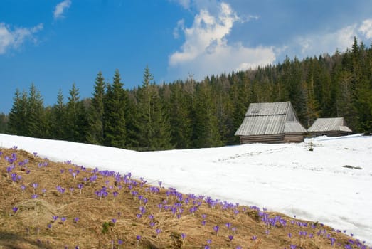 Spring in Tatry mountains