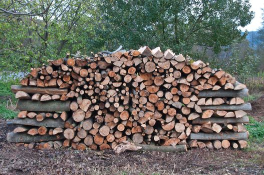 Beech wood stacked in the woodpile in the yard, for heating the furnace in the winter