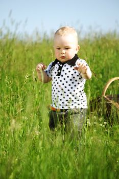 little boy play in green grass