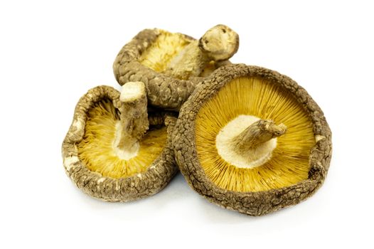 Dried Shiitake mushrooms isolated on white background