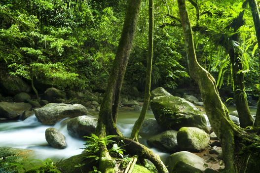 A mountain river with stream falling into it.