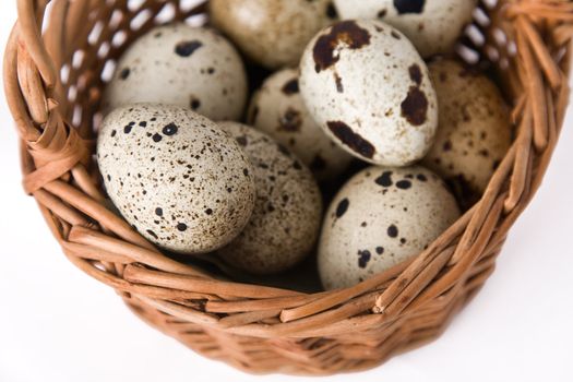 quail eggs in a basket, top view