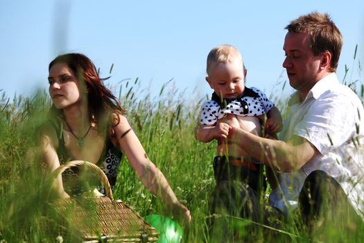  happy family on picnic in green grass