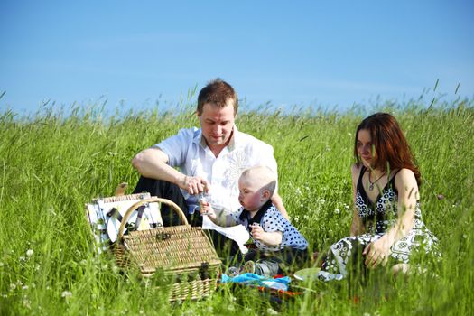  happy family on picnic in green grass