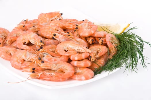 Close-up of boiled shrimps on a plate