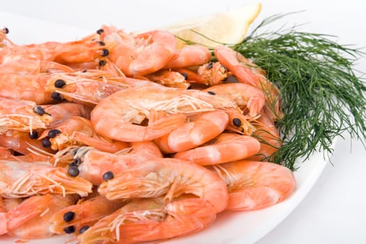 Close-up of boiled shrimps, shallow focus