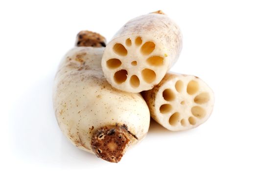 Close up fresh Lotus root on white background