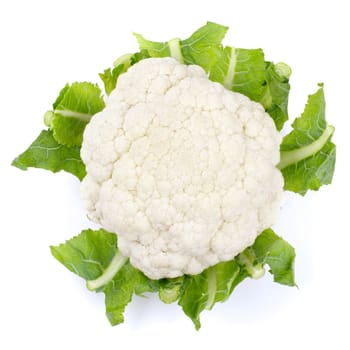 Studio shot of a cauliflower isolated on white, overhead view.