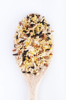 Multi Raw grains on wodden spoon, mixed of 12 different grains