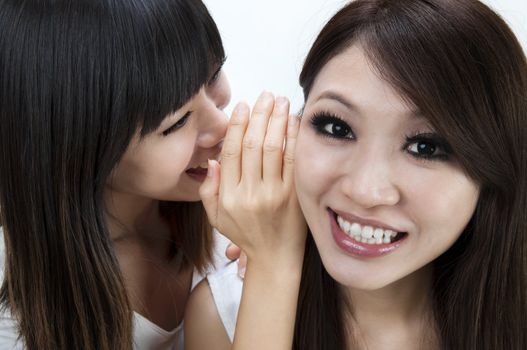 Two happy asian friends talking secretly over white background.