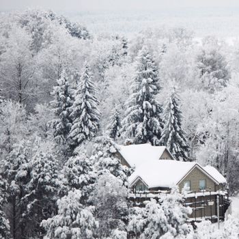 houses in winter forest snow around