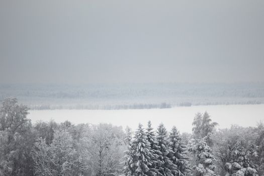 houses in winter forest snow around