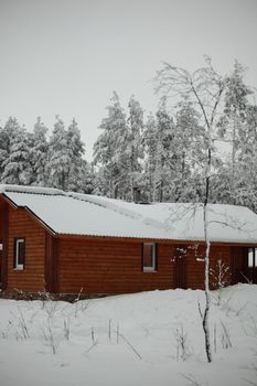 houses in winter forest snow around