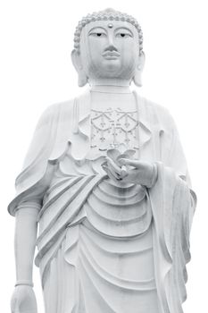 Giant Buddha statue isolated on white background