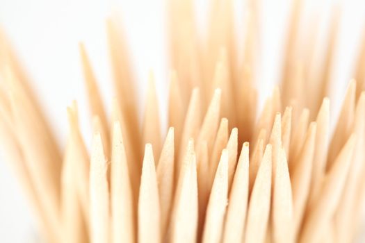toothpick macro close up