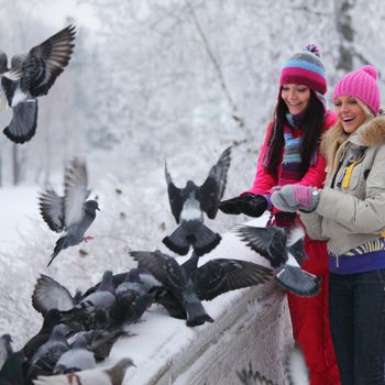 winter women give food to the pigeon