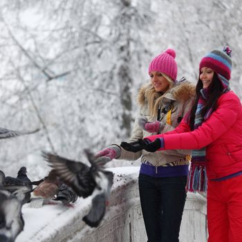 winter women give food to the pigeon