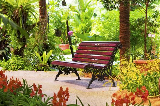 Chair in garden, surrounding by plants and flowers