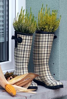 checked rubber boots with greenery and plants inside
