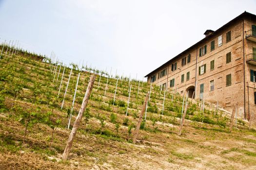 Landscape of Monferrato area in Piedmont region - Italy