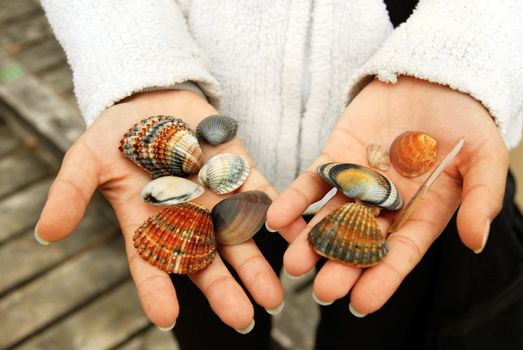 girl holding various mediterranean sea shells in hands closeup