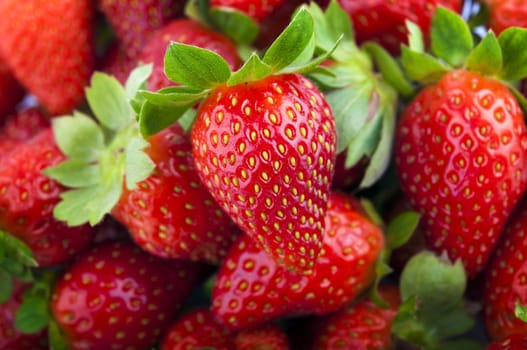 Fresh Ripe Perfect Strawberries Full Frame Background