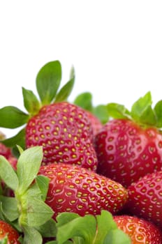 Stack of strawberries with blank space at top