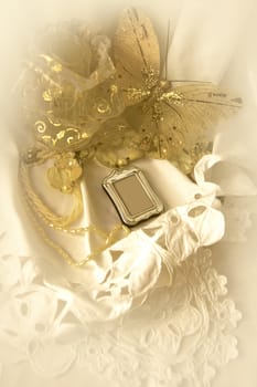 still life with lace and butterfly              