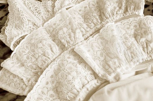 lace on background of the fur