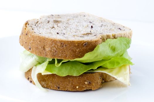 Fresh vege cheese sandwich with brown bread