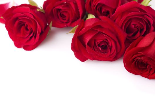 Bouquet of Valentine Roses on White, Copy Space