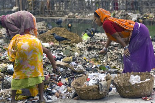 Indian women in brightly colored clothing sort through piles of rubbish in Calcutta West Bengal India.