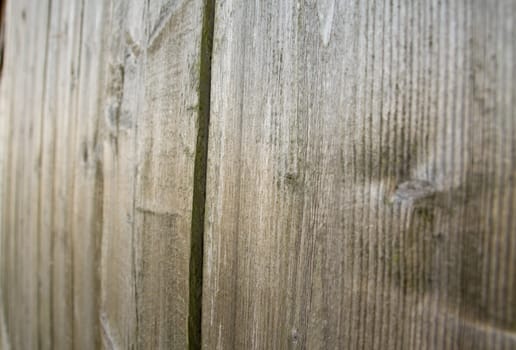 detailed macro shot of wood (abstract composition)