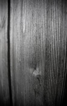 detailed macro shot of wood (abstract composition)