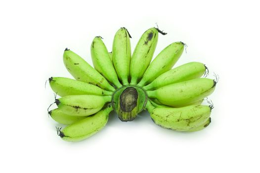 A bunch of unripe baby bananas