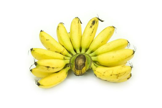 A bunch of baby bananas 

