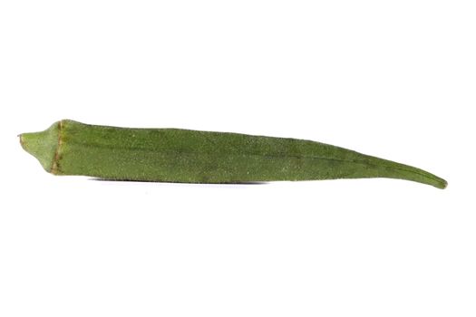 A fresh okra vegetable isolated on white studio background